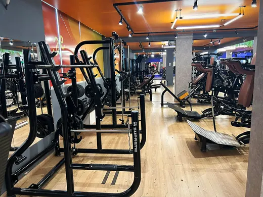 Racks de agachamento e bancos de supino.