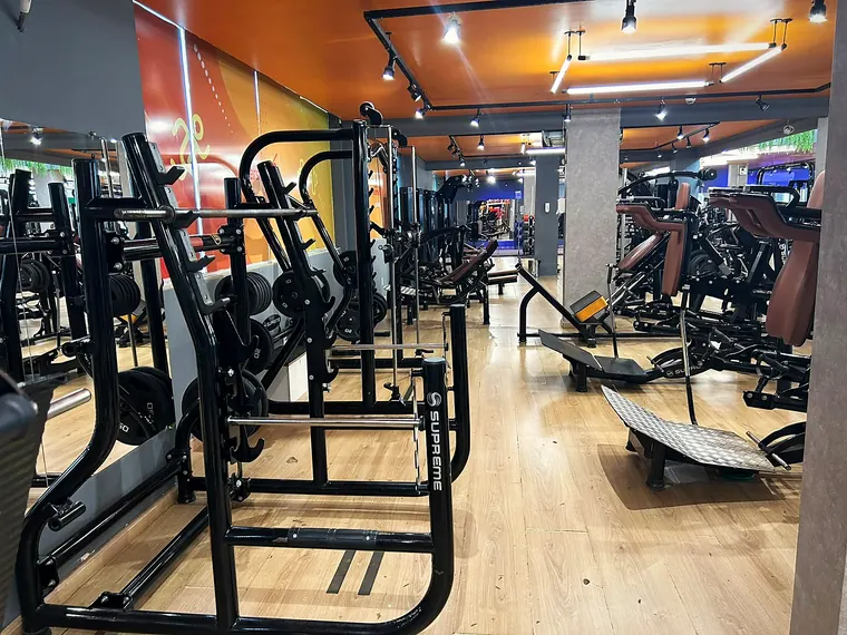 Racks de agachamento e bancos de supino.